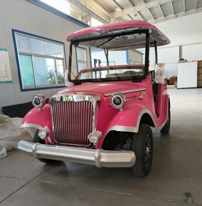 Véhicule de tourisme électrique vintage classique à vendre : 80-100 km d'autonomie, 6-14 places, <span class=keywords><strong>alternateur</strong></span> 4000W - Product Image 5
