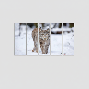 <b>Lynx</b> Cat Tempered Glass Wall Art: Winter Animal Print Canvas,<b>SET</b> OF 5 CANVAS - Product Image 2