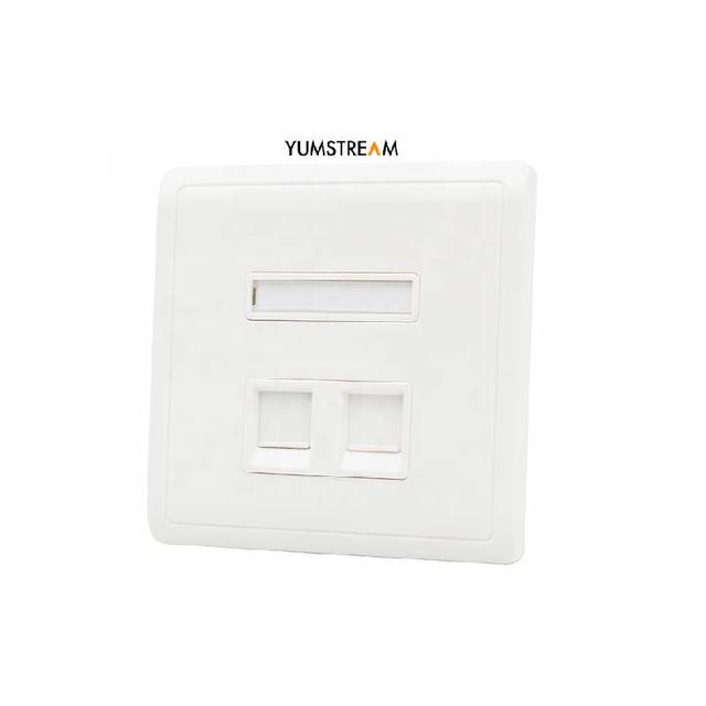 Monitoring Room High Quality Plastic White Network Cable Wall Plate Rj11 Rj45 Dual Keyston Faceplates
