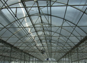 Promotion de lampes de <span class=keywords><strong>culture</strong></span>, jardin vertical hydroponique, collecteur de rosée, bâche préfabriquée transparente, rouleau de serre pour <span class=keywords><strong>oignon</strong></span> - Product Image 2