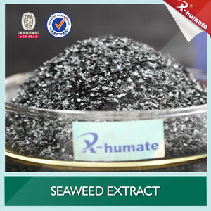 X-Humate Agla dans l'extrait d'algues Soluble dans l'eau Flake High Concent Seaweed Extract Flake - Product Image 3