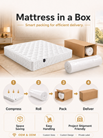Matelas à ressorts ensachés de taille Queen, nouveau design, avec housse en tissu confortable pour chambre à coucher