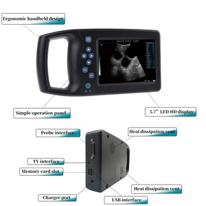 Ecografo Veterinario Portatile A6 - Sonda Convessa Integrata per Gravidanza di Cani e Suini - Product Image 2