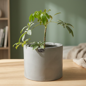 Grands pots et jardinières spacieux PAP19 pour l'intérieur, l'extérieur, le jardin, le balcon, la terrasse et la décoration de la maison - Product Image 2