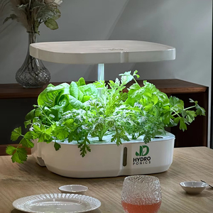 Serre commerciale de culture verticale aéroponique en <span class=keywords><strong>tour</strong></span>, systèmes de culture <span class=keywords><strong>hydroponique</strong></span> pour usage domestique - Product Image 3