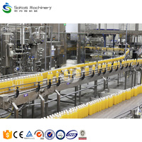 Sap Verwerking Productielijn Machine Mango Juicer Maken Machine Commerciële Drank Verwerkingslijn