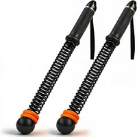 2 Cordes de Combat Lestées en Acier Allié, Sans Fil, pour Entraînement à Domicile, Pièces et Accessoires de Machine d'Exercice Réglables pour l'Entraînement de Force