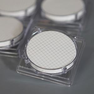Papeles de Filtro Hidrófilos de Microfibra de Celulosa de Calidad Estable, 40 Mallas, 1um, Módulo de Membrana Cuadrículada CN para Detección Bacteriana - Product Image 6