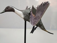 Kit de leurres de canards volants électriques Xilei, conception de canard colvert motorisé, technologie de mouvement réel, matériau PE, accessoires de chasse aux oiseaux