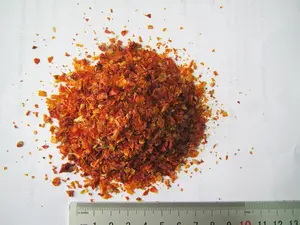 Dehydrated Tomato Granule China Dried Tomato Supplier