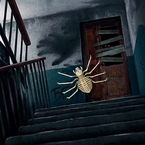 Décorations d'Halloween : Accessoires d'araignées effrayantes, squelettes d'araignées, pour la Fête des Morts, maisons hantées et aménagement d'hôtels - Product Image 5
