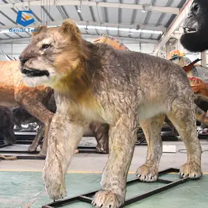 JN-Z23J27 modèle de chien animatronique hyène haute réaliste décoration de parc à thème modèle Animal préféré des enfants