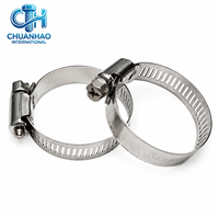 Collier de serrage à vis sans fin en acier inoxydable DIN3017 SUS304 pour tuyaux automobiles, conduites d'eau, applications solaires et jardinage