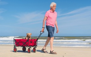 Chariot de camping extérieur pliable, chariot de plage portable, chariot pliable, chariot pliable - Product Image 6