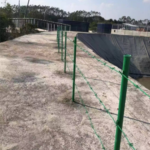 Mercado de América del Sur Acero inoxidable 500m 25kgs/roll Calibre 15 16 <span class=keywords><strong>Barrera</strong></span> de valla de bobina de alambre de púas cruzado galvanizado en caliente - Product Image 6