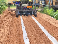 Transplanteur de fourrage à 2 rangs multifonctionnel pour pâturage avec labour rotatif, arrosage et paillage en film plastique
