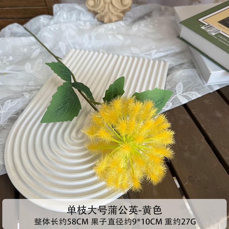 ดอกแดนดิไลอันขนาดใหญ่ดอกเดียว