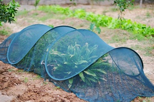 Modern Mesh Anti-Insect Easy Assembly Adjustable Green Mini Metal <b>Garden</b> Tunnel Greenhouse for Plant - Product Image 5