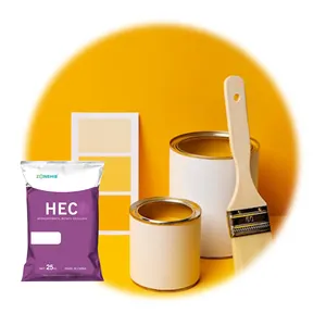 Hot Sale Improve Plasticity Hydroxyethyl Cellulose Ether HEC Powder For Water Based Latex Coatings