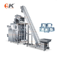 Machine à emballer remplissante d'aliments surgelés de machine à emballer de poche de préfabrication de glace verticale 1kg
