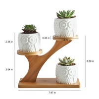 Présentoir de Pot de fleur succulente à plusieurs niveaux en bambou naturel intérieur/extérieur de haute qualité emballage en boîte de conception de maison minimaliste