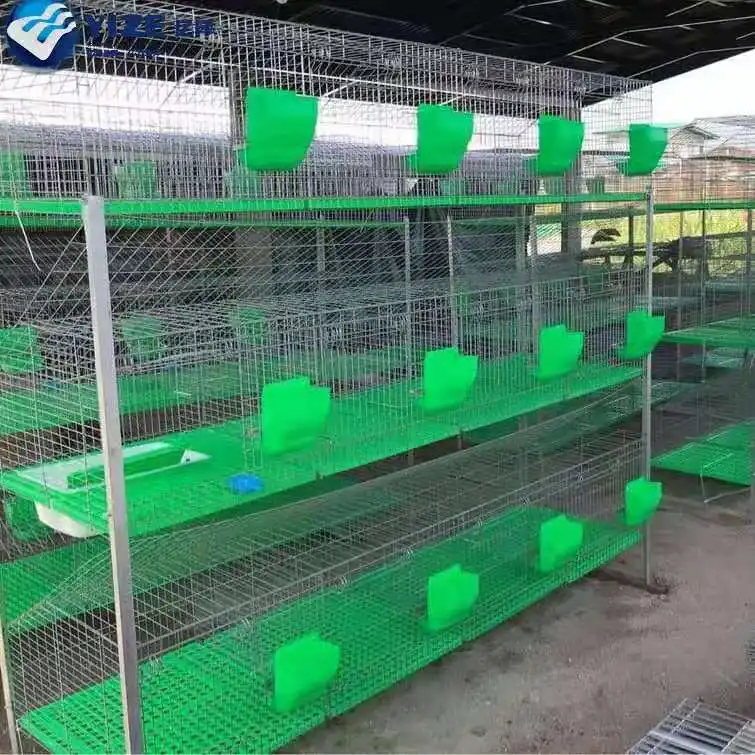 Sangkar-jaula de conejo automática para interior, malla de alambre galvanizado de 4 capas, suministros