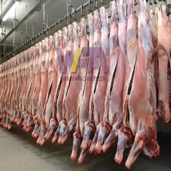 Pemrosesan Daging Lengkap Garis Pemotongan Kambing Abattoir Desain Proyek Mesin Pengupas Kulit Domba Rumah Pemotongan Domba