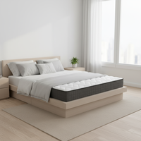 Prix promotionnel du fabricant, ensemble de lit double personnalisé, mousse de sommeil, peut être compressé et enroulé dans une boîte, matelas à ressorts