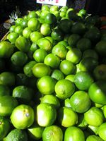 Citron vert sans pépins de qualité supérieure, peau fine, juteux, vert, origine Vietnam, fruit tropical naturel