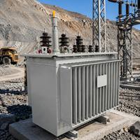 Transformateur immergé dans l'huile S13 13,8 kV 11 kV 300 kVA 500 kVA pour site minier avec parafoudre intégré – Fabricant professionnel