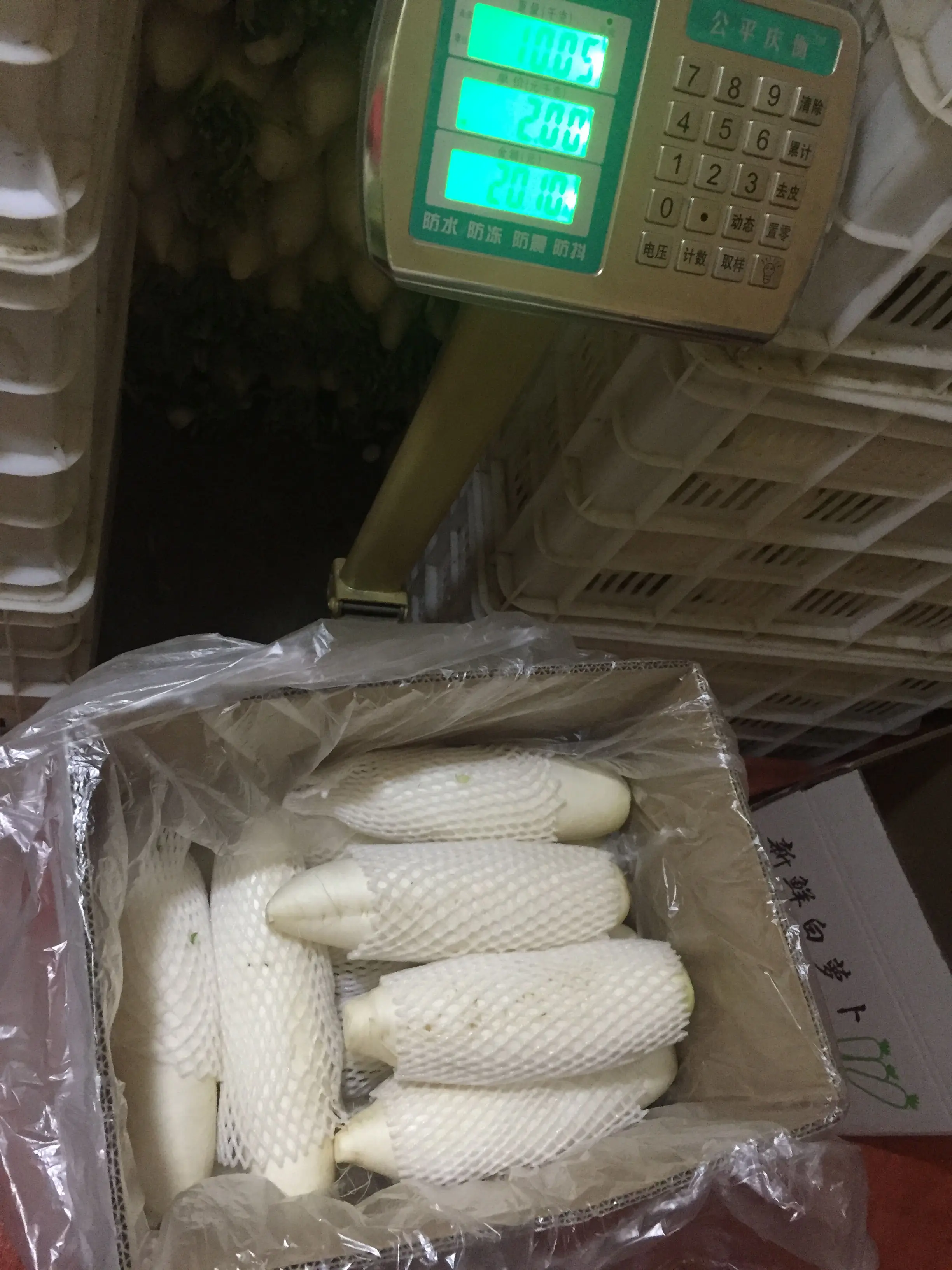 चीनी कारखाने की आपूर्ति ताजा जैविक सब्जियों मूली सफेद, हरे फल मूली कीमत चीन से बिक्री के लिए