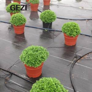 Estera <span class=keywords><strong>de</strong></span> barrera <span class=keywords><strong>de</strong></span> malezas, camas <span class=keywords><strong>de</strong></span> jardín vegetal, fruta agrícola alrededor <span class=keywords><strong>de</strong></span> árboles, planta <span class=keywords><strong>de</strong></span> horticultura, lago bajo cubierta <span class=keywords><strong>de</strong></span> grava, valla <span class=keywords><strong>de</strong></span> césped, <span class=keywords><strong>camino</strong></span> - Product Image 3