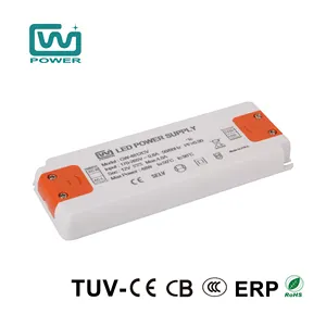 High Quality Skin Care Products TUV-CE CB High PF 0.5W ERP 48W 4Amp Led Driver For Led Lighting