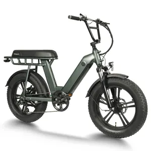 Super venda quente carga bicicleta elétrica 20 polegadas 48V 750W motor 14.5Ah bateria pneu gordo bicicleta elétrica