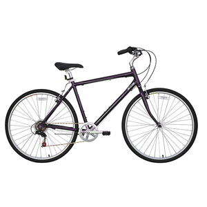 Vente chaude 2023 néerlandais <span class=keywords><strong>ville</strong></span> <span class=keywords><strong>vélo</strong></span> femmes 28 pouces titane <span class=keywords><strong>ville</strong></span> hommes courbe <span class=keywords><strong>vélo</strong></span> pliable pour japon unique sperd vitesse ue - Product Image 5