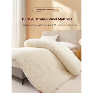 Matelas en laine, <span class=keywords><strong>couverture</strong></span> en laine d'agneau rembourrée, simple, hiver, épaissi, chaud, antibactérien, désodorisant, chauffage rapide - Product Image 2