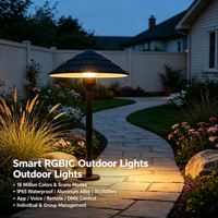 Luz LED RGB IP65 Impermeable para Exteriores, Iluminación LED Programable con Control por Aplicación, Luz LED para Decoración de Paisajes y Edificios