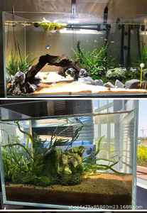 Vente en gros d'usine d'accessoires pour aquariums, élevage de poissons, réservoirs d'aquariums en verre transparent carrés, aquariums de bureau en verre personnalisés - Product Image 4