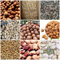 Machine de séchage automatique en acier inoxydable pour soja, riz, cacahuètes, noix de karité, maïs, blé avec bande transporteuse à mailles d'engrenage, haute efficacité
