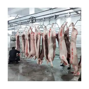 Pork Slaughtering Equipment Sow Abattoir Slaughterhouse Machine Line With Cold Room Meat Fast Frozen Track System