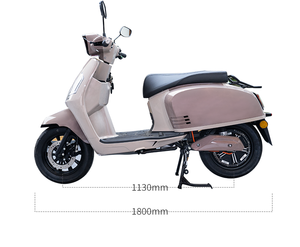 CKD SKD 12英寸2轮电动滑板车轻便摩托车成人1100W/1300W 65千米/h最大速度电动摩托车公司 - Product Image 3