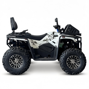<span class=keywords><strong>Quad</strong></span> tout-terrain 400cc 10' haute puissance, vente directe usine - Product Image 2