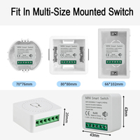Mini Interruptor Wifi de 16A, Interruptor Inteligente para el Hogar, Control de 2 Vías, Compatible con la Aplicación Smart Life, Control Remoto, Temporizador