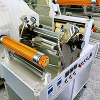 Machine de revêtement de laboratoire pour patchs de gel à base de plantes Roll-to-Roll Virma Blade Coater Heating Laminating Functions Wood Motor Case