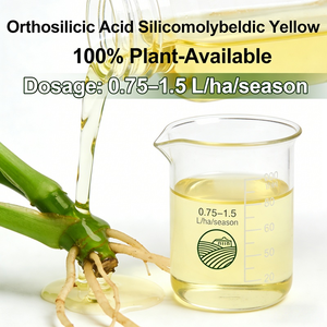 Engrais <span class=keywords><strong>Bio</strong></span> Liquide à Base d'Acide Orthosilicique/Monosilicique pH 2-3 à Libération Rapide pour Cultures, Légumes et Fruits - Product Image 3