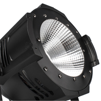 Alliage d'aluminium blanc froid et chaud 2 en 1 200W COB LED Par Light DMX