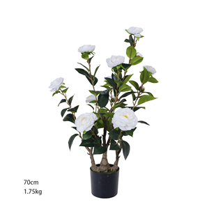 Camélia en plastique, plante artificielle en <span class=keywords><strong>pot</strong></span>, ornement <span class=keywords><strong>de</strong></span> jardin pour la décoration <span class=keywords><strong>de</strong></span> bureau, <span class=keywords><strong>de</strong></span> jardin et <span class=keywords><strong>de</strong></span> maison, plantes artificielles - Product Image 4