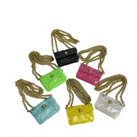 Nouveauté 2026 – Sac Mini Transparent en PVC Tête d'Aigle, Haut de Gamme, Polyvalent, Matelassé, Fermeture Magnétique, avec Chaîne pour Femme