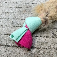 Jouet en peluche personnalisé en fourrure d'animal véritable (lapin/chien) de haute qualité pour chien, jouet interactif d'extérieur à tirer et à mâcher, en gros