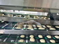 Ligne de production de beignets multifonctionnelle Yucho Berliner, équipement professionnel pour la fabrication de beignets/donuts.